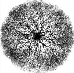 Self-Inflicted Violence : The Sanctimonious Hypocrites of Reality